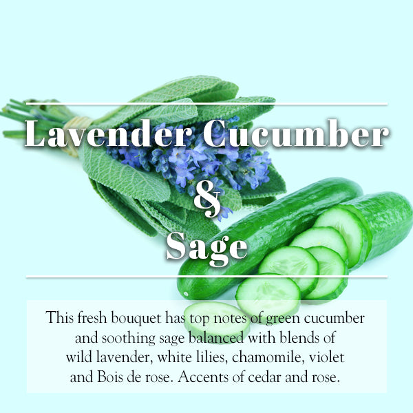 Lavender Cucumber Sage hotsell Collection